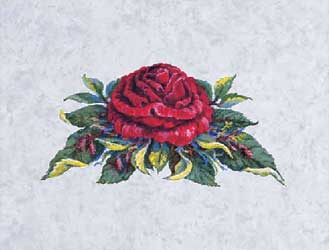 kjaerlighetsrosa